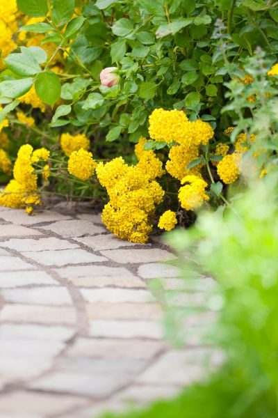 patio contractors vernon hills il patio contractors vernon hills il